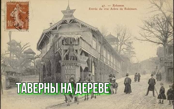Трансформация городского пространства: таверны на дереве – история Гескин