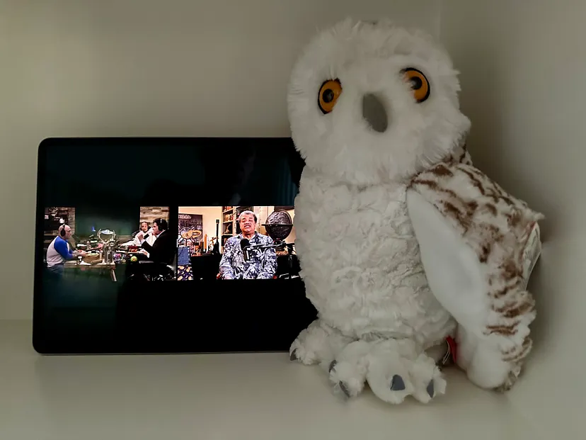 Фото предоставлено автором