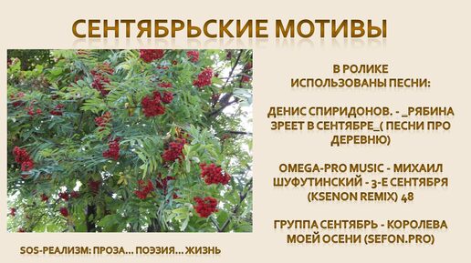 Сентябрьские мотивы