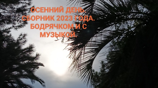 ОСЕННИЙ ШАНСОН. СБОРНИК 2023 ГОДА. БОДРЯЧКОМ И С МУЗЫКОЙ!