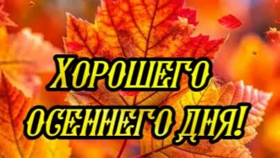 Picture background