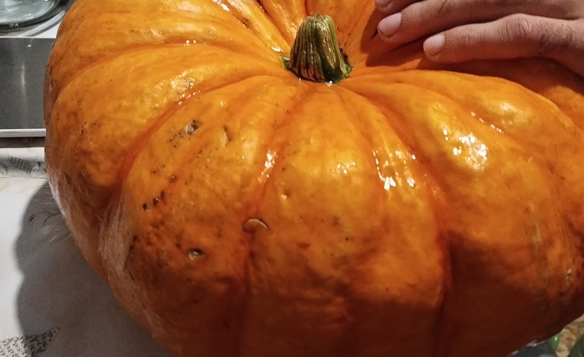 В этом соке главное, чтобы тыква была вкусной