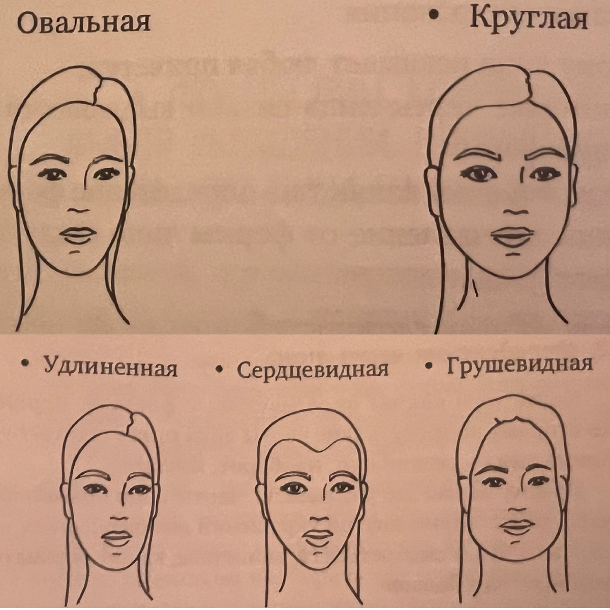 Более мелкие и округлые формы лица 