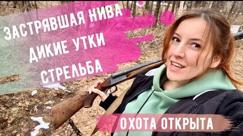 Открытие охоты на уток и вальдшнепов