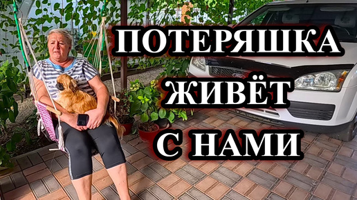 Video herunterladen: 689ч Жизнь семьи на юге/Интересное из нашей жизни/Мы переехали с Урала на юг