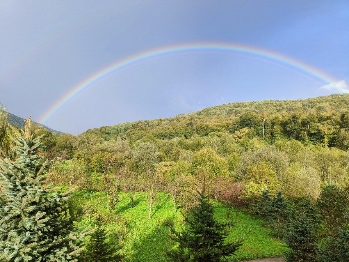 фото с тг канала Горный поток
