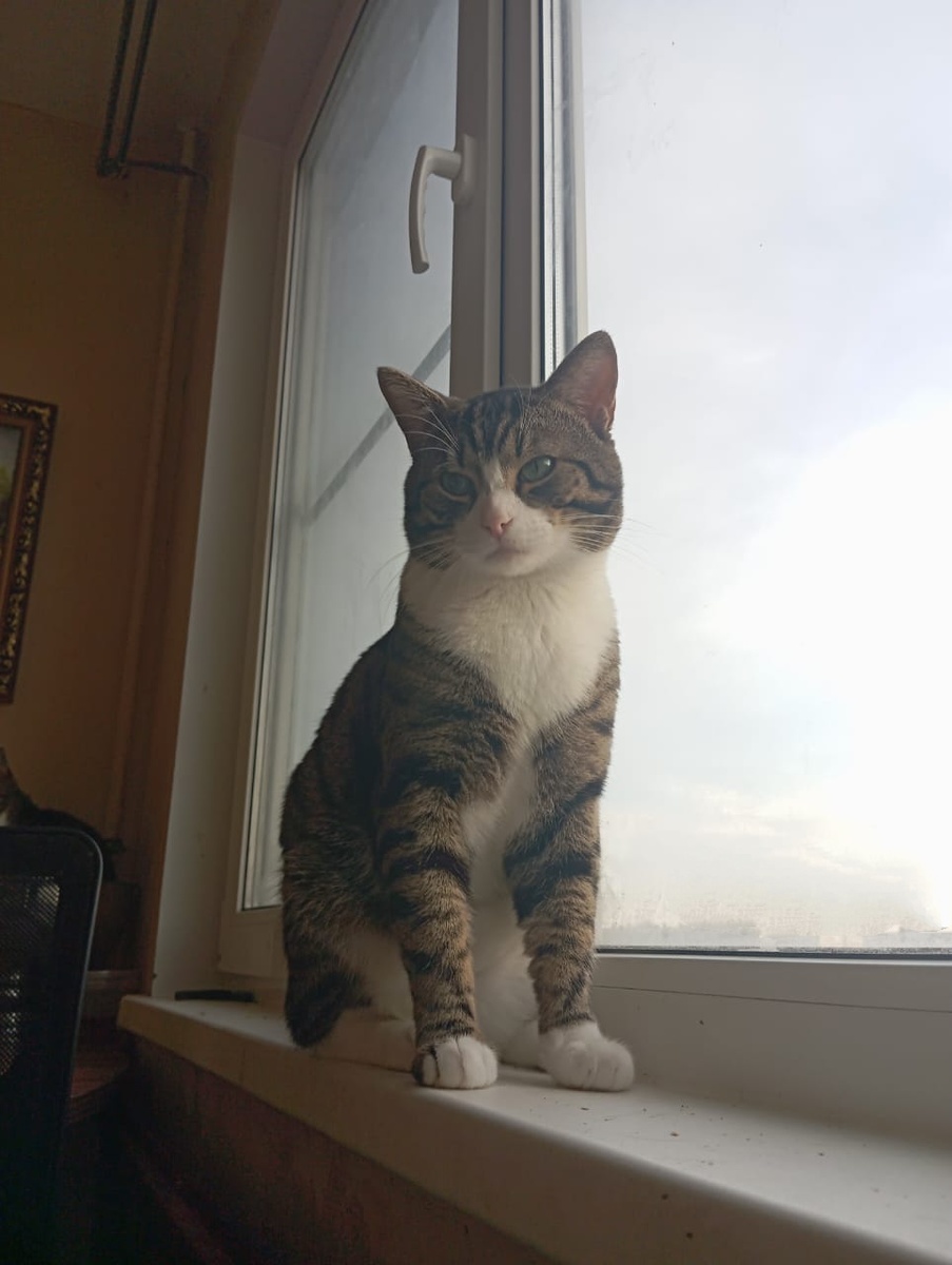 Ручниченыш