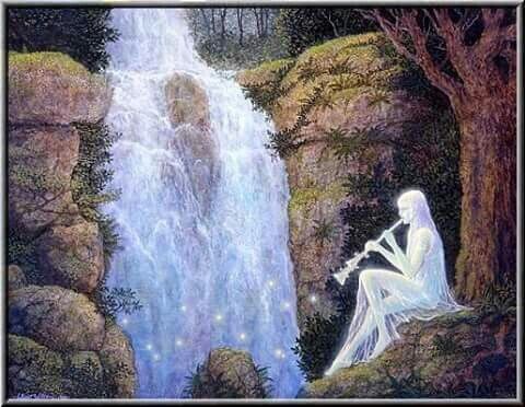 Яндекс картинки 