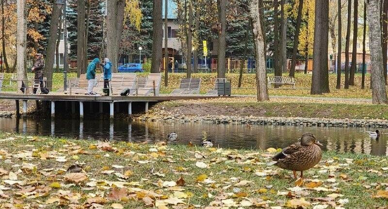    Пресс-служба администрации городского округа Воскресенск