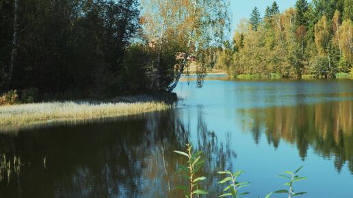 Прогулка под Звенигородом