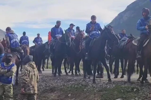    Правда ли, что на конном пробеге в КБР и КЧР массово погибли лошади?