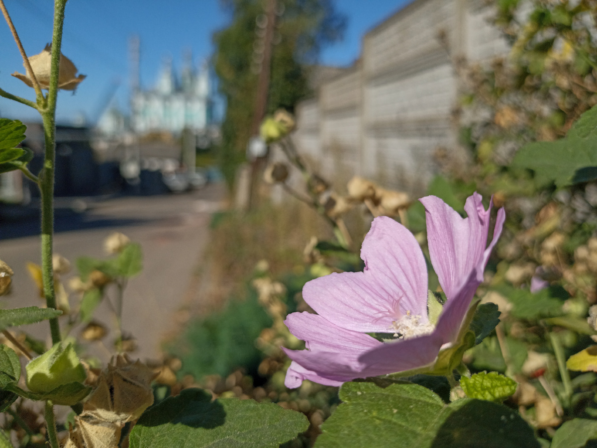 Улица Реввоенсовета. Листайте галерею