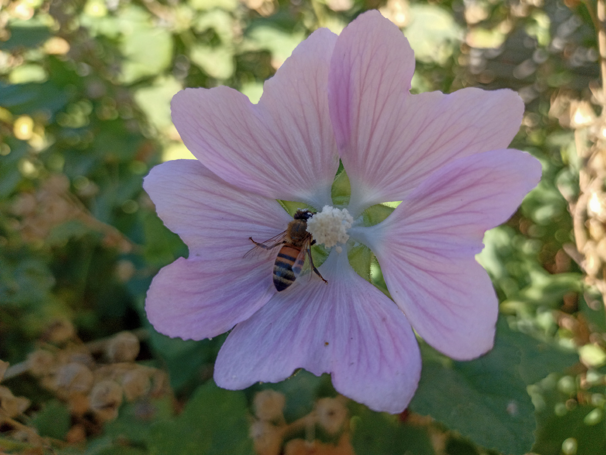 Улица Реввоенсовета