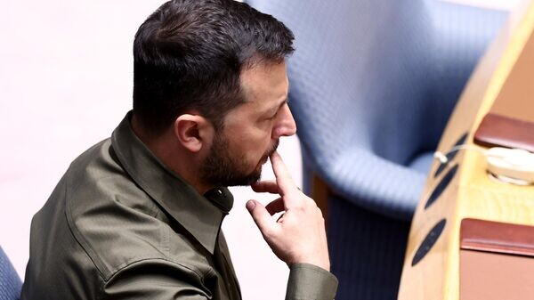    © Sputnik / Валерий Шарифулин / POOL