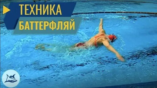 Баттерфляй. Разбор техники плавания. Сравнение с Олимпийской Чемпионкой