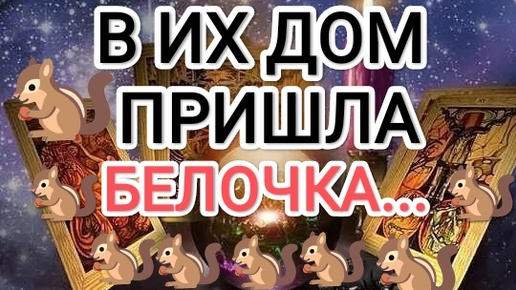 💯💯💯С УМА СОЙТИ! В ♣♦ИХ ДОМ ПРИШЛА 🐿БЕЛОЧКА!