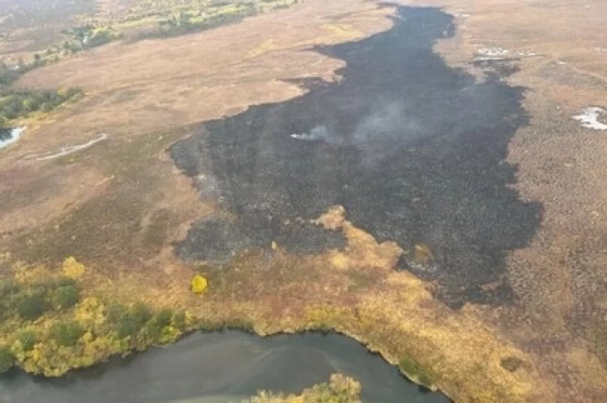    В Елизовском районе Камчатки ликвидирован 14-й в этом году лесной пожар