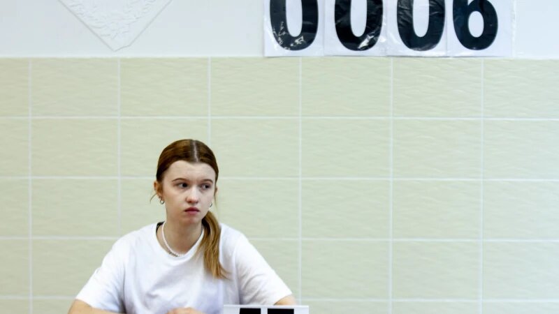     ЕГЭ по литературе в барнаульском лицее №101 Анна Зайкова