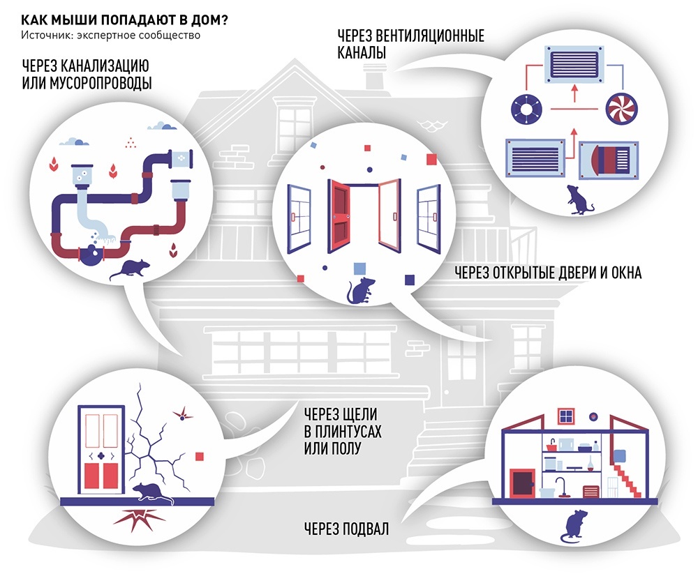     Светлана Филиппова, Антон Переплетчиков