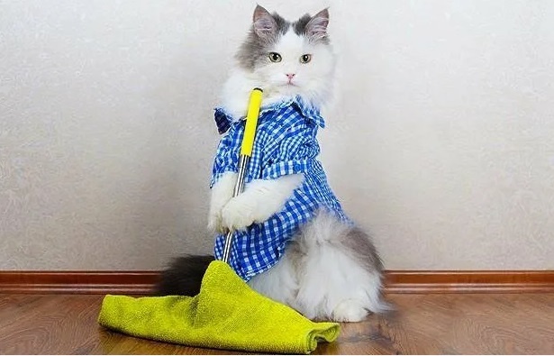 Из свободного источика