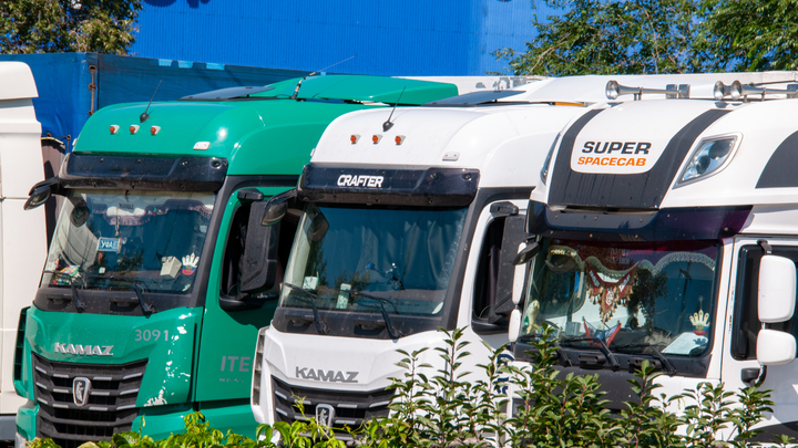 ФОТО: SVETLANA VOZMILOVA/GLOBAL LOOK PRESS