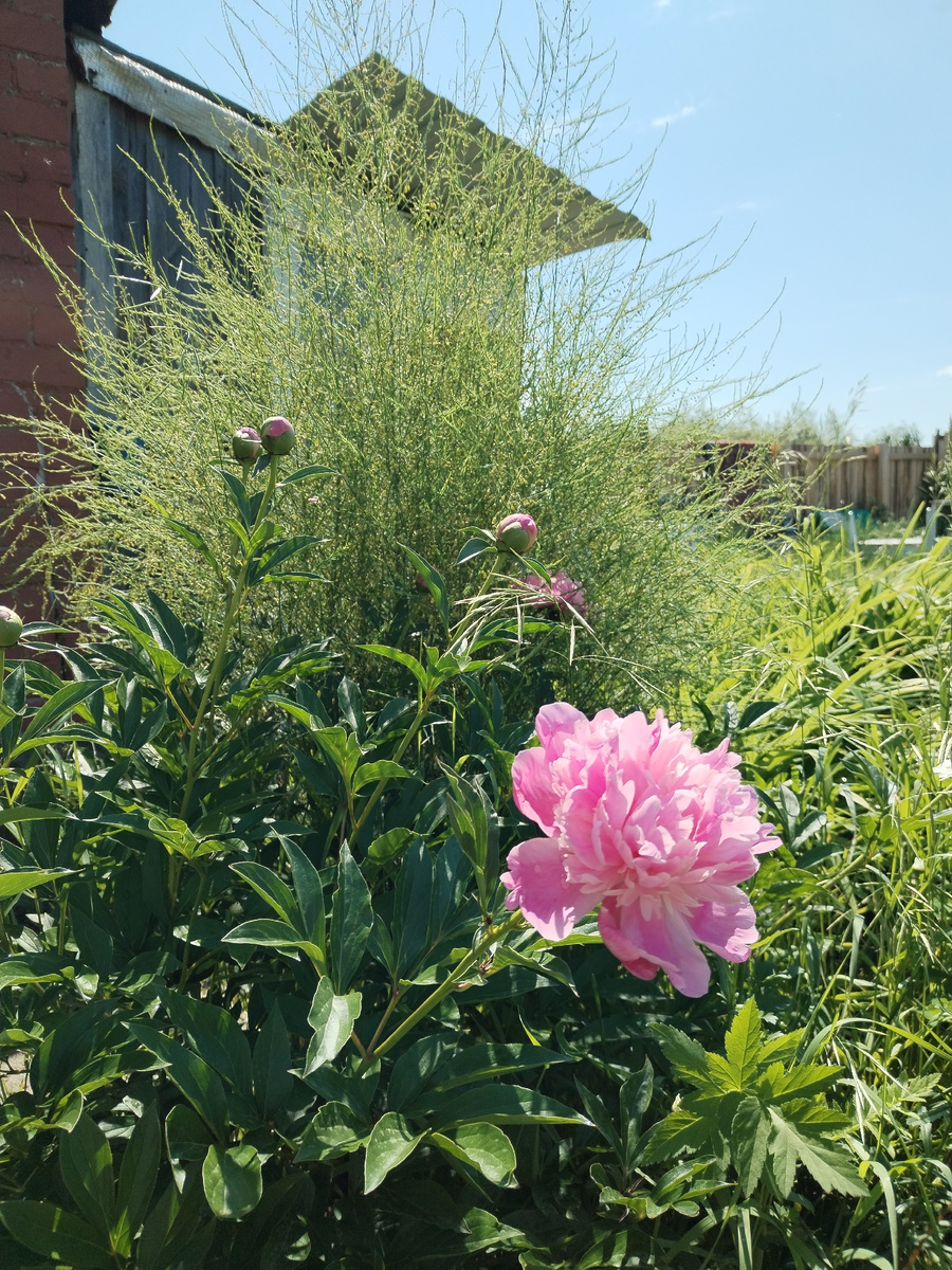Осенью летние фотографии радуют глаз