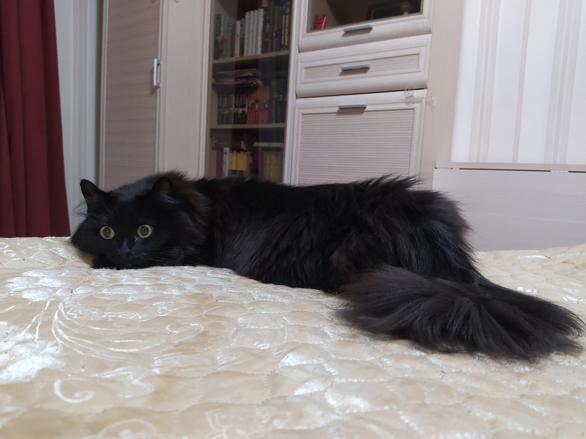 Как ты могла? Как?...