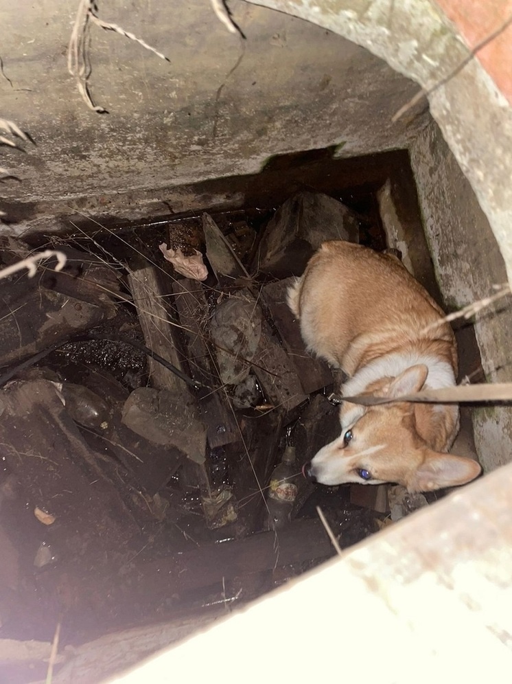     ФОТО: Подслушано в Рыбинске