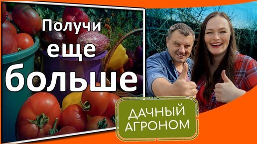 Двойной урожай в совмещенных посадках: правила Дачного агронома