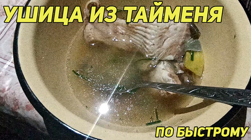 Ушица из тайменя по быстрому. Простой и очень быстрый рецепт приготовления ухи из речного лосося.