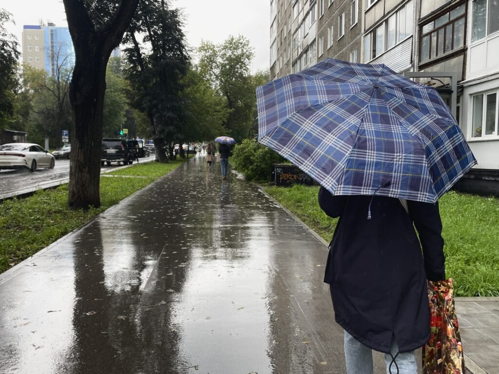    Фото: В курсе.ру Алена Калашникова