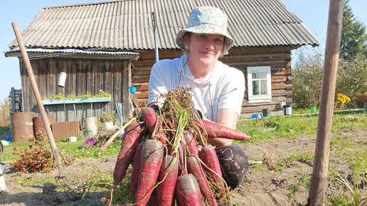 Собрали урожай моркови и зажигательные танцы от нас.