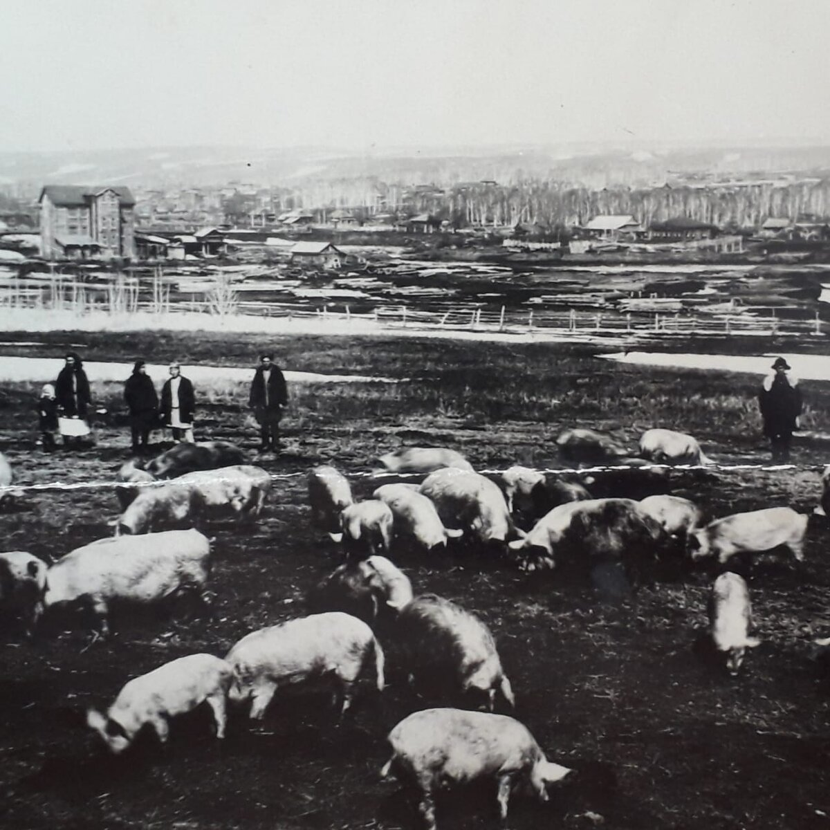 Коммуна "Красный сибиряк"