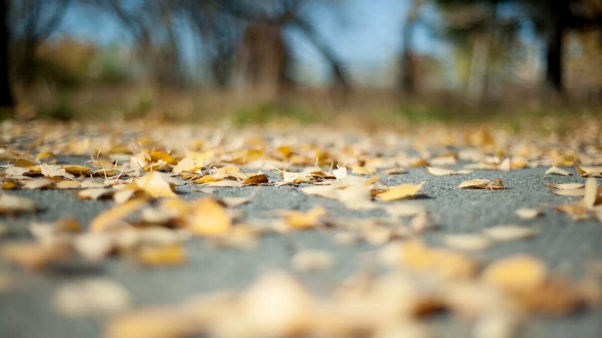     Источник: 1MI