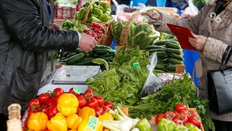      Фото: ИА «Победа26»