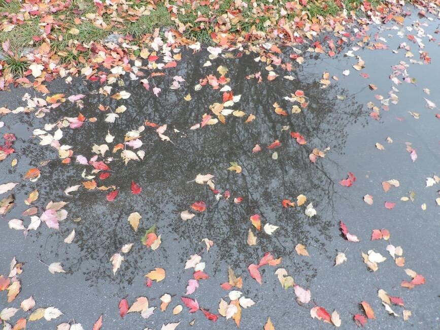    Фотография Анны Зубаревой