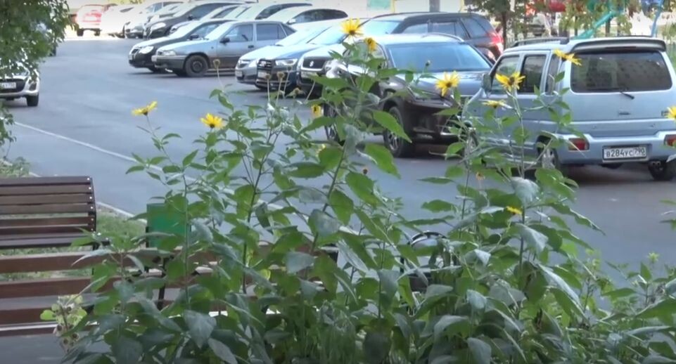    Телеканал «360»