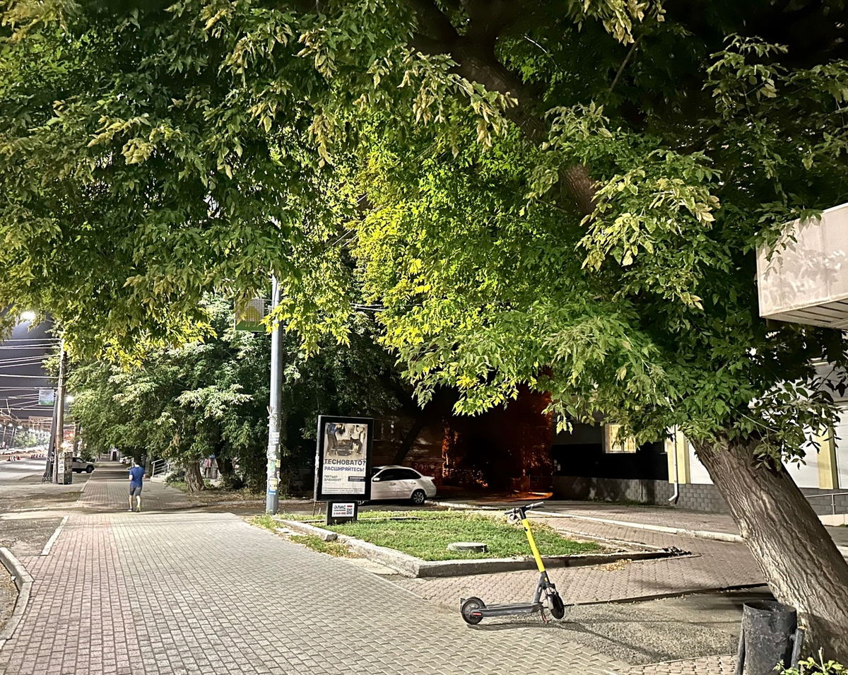 Клён ясенелистный. Дерево, плотно прижатое павильоном, опасно накренилось в сторону тротуара