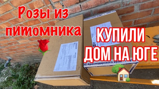 Video herunterladen: 356ч🏡26.09.24-Отправляю и получаю посылки/Почему мы на юге?/Ламинат перестилаем/