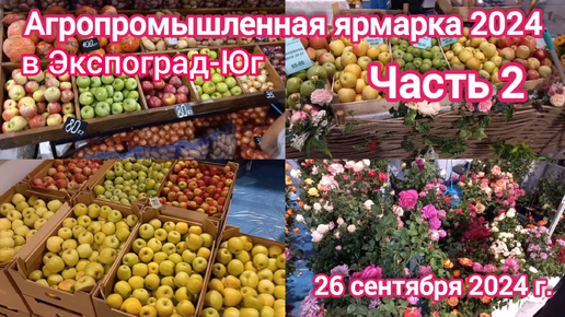 Краснодар - Кубанская ярмарка в Экспоград-Юг 🍅🥕🍏🍇🍎 - Часть 2 - 26 сентября 2024 г.