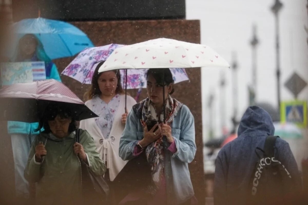    Локальные грозы и дожди пришли в Петербург в конце рабочей недели