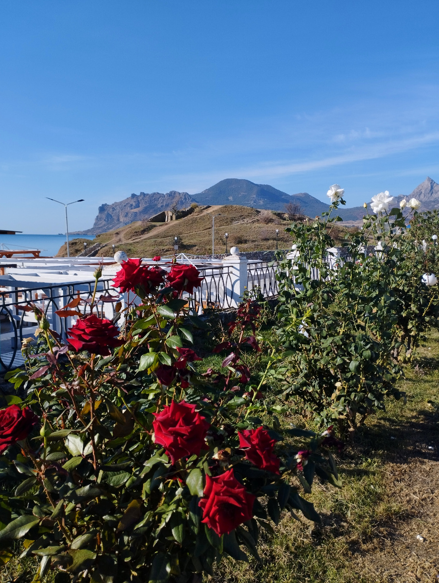 Утром в отеле ДИМ. Сегодня. Фото автора канала