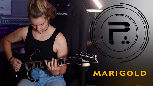 Periphery - Marigold [guitar cover]