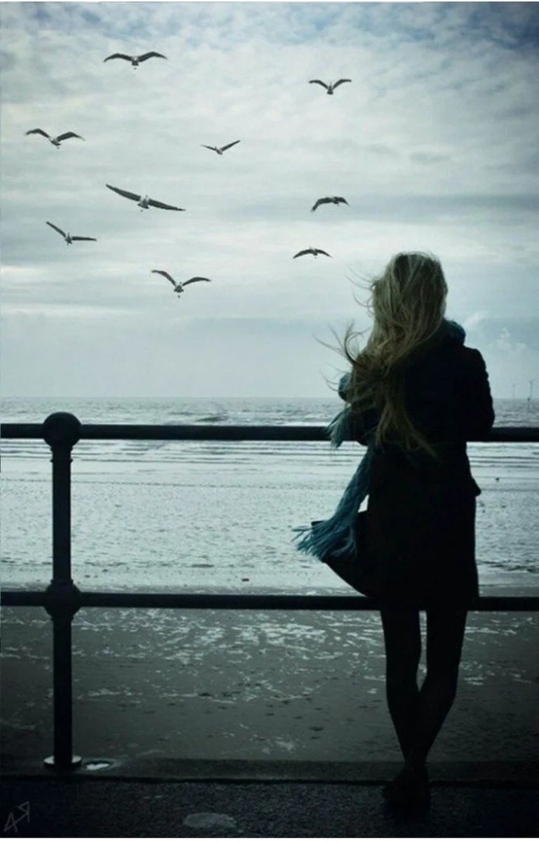 Иллюстрация со свободных источников 