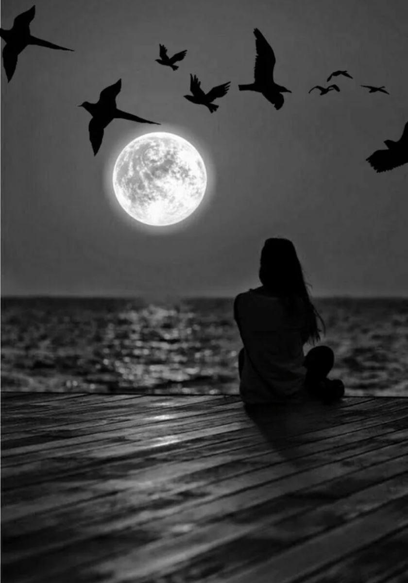 Иллюстрация со свободных источников 