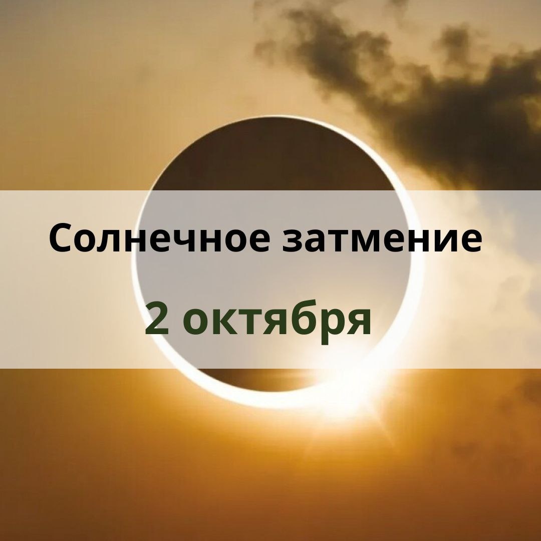 Фото из сети 