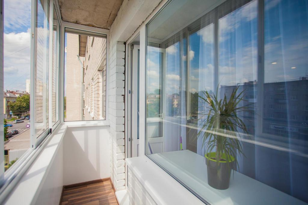 Фотография взята из источника yandex.ru