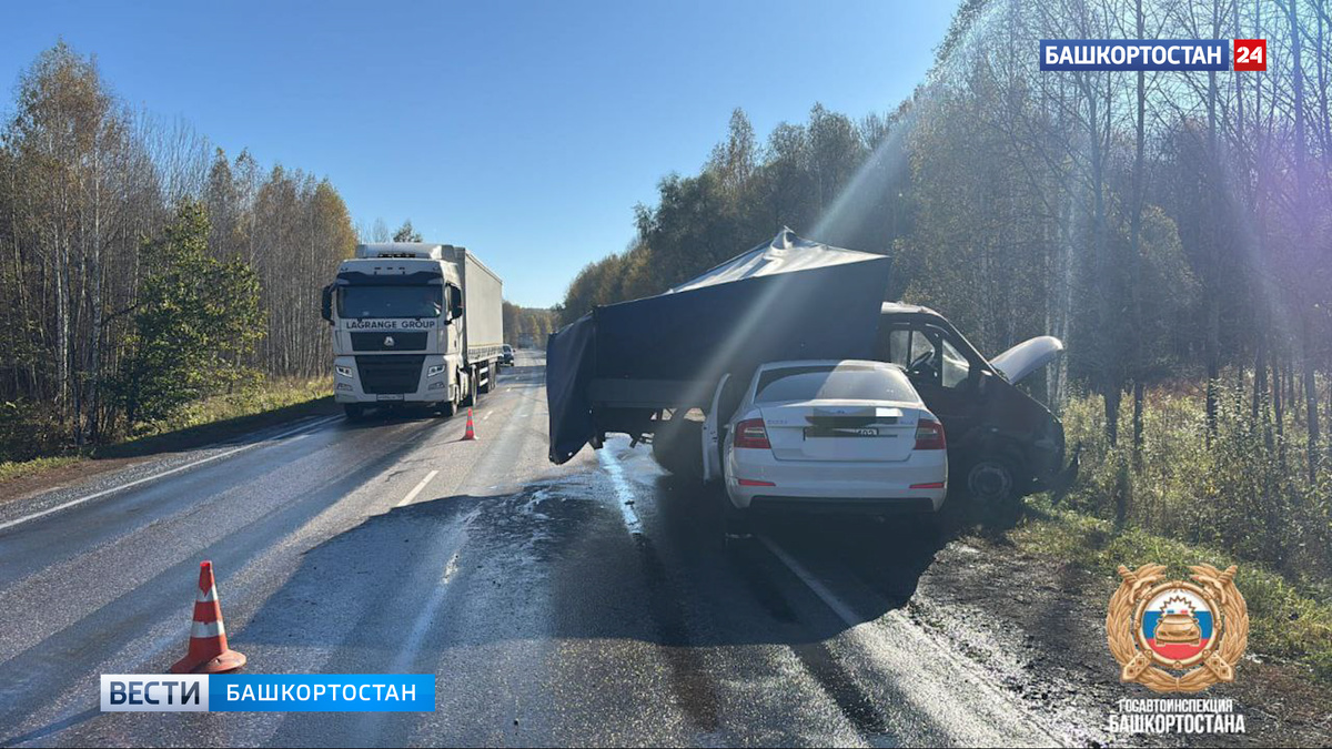    Пять человек пострадали при столкновении встречных "Газели" и Skoda Octavia