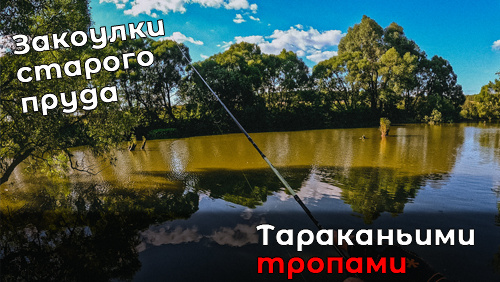 Шаг вперед, два шага назад. Мормышинг на мелководье