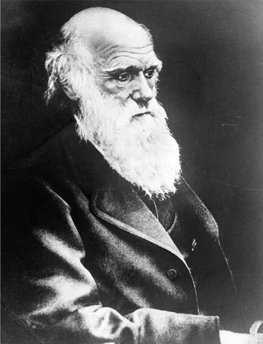 Чарлз Дарвин (1809-1882)
